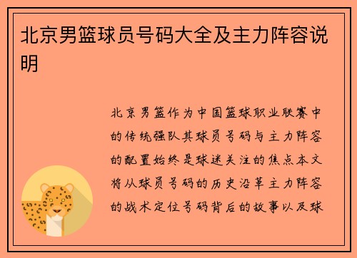 北京男篮球员号码大全及主力阵容说明